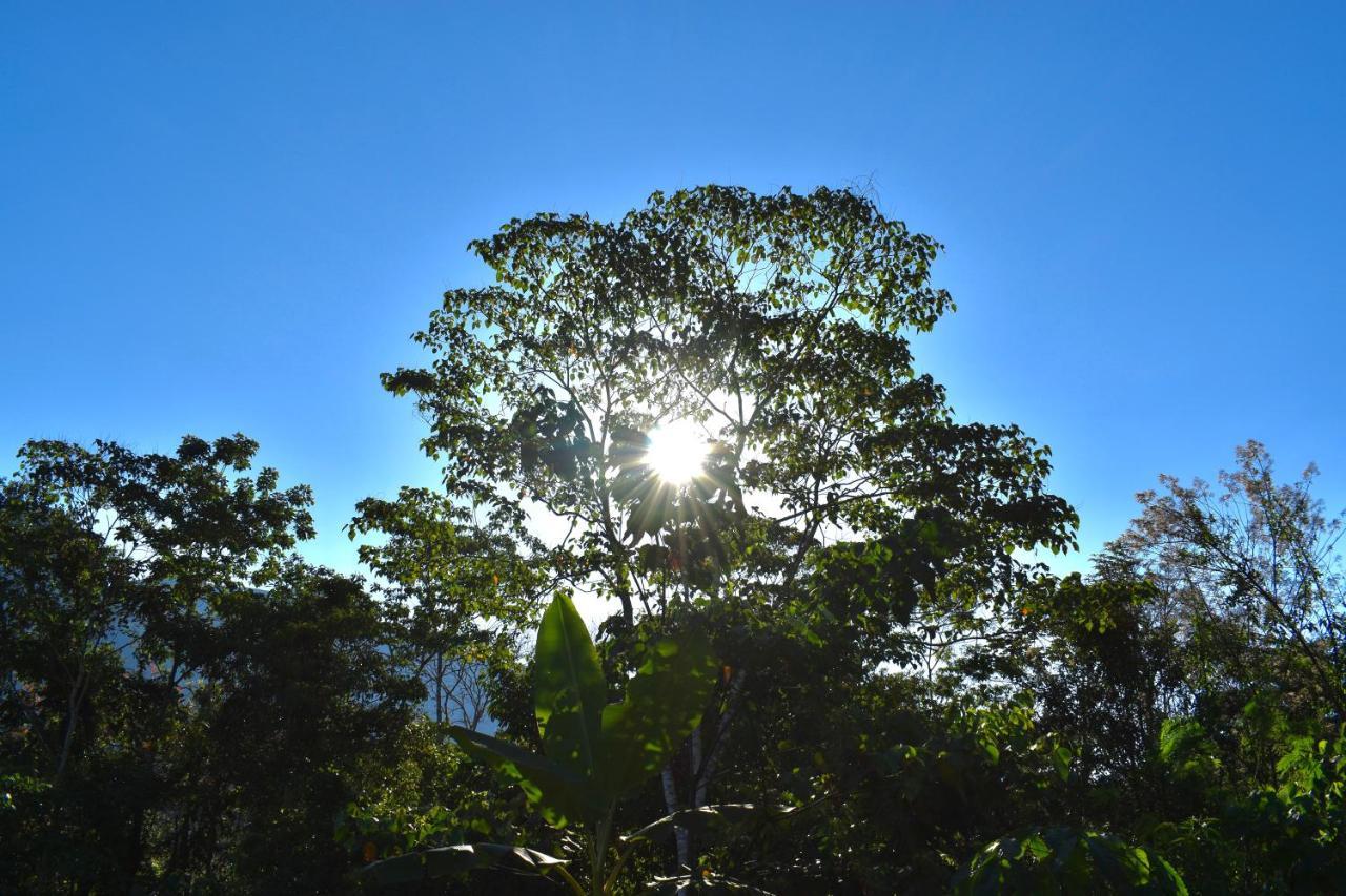 Bosque Guardian Lodge Tarapoto Eksteriør bilde