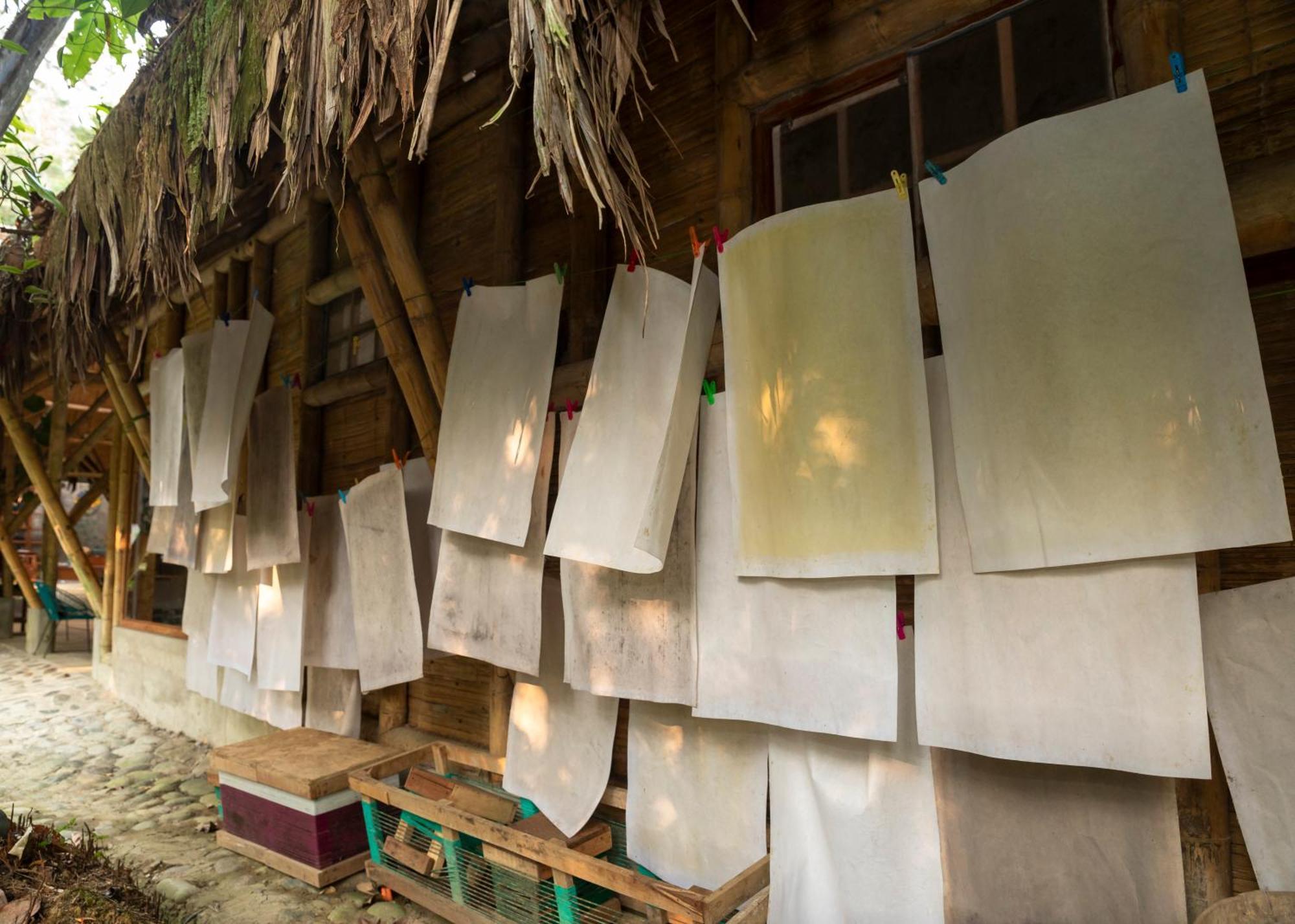Bosque Guardian Lodge Tarapoto Eksteriør bilde