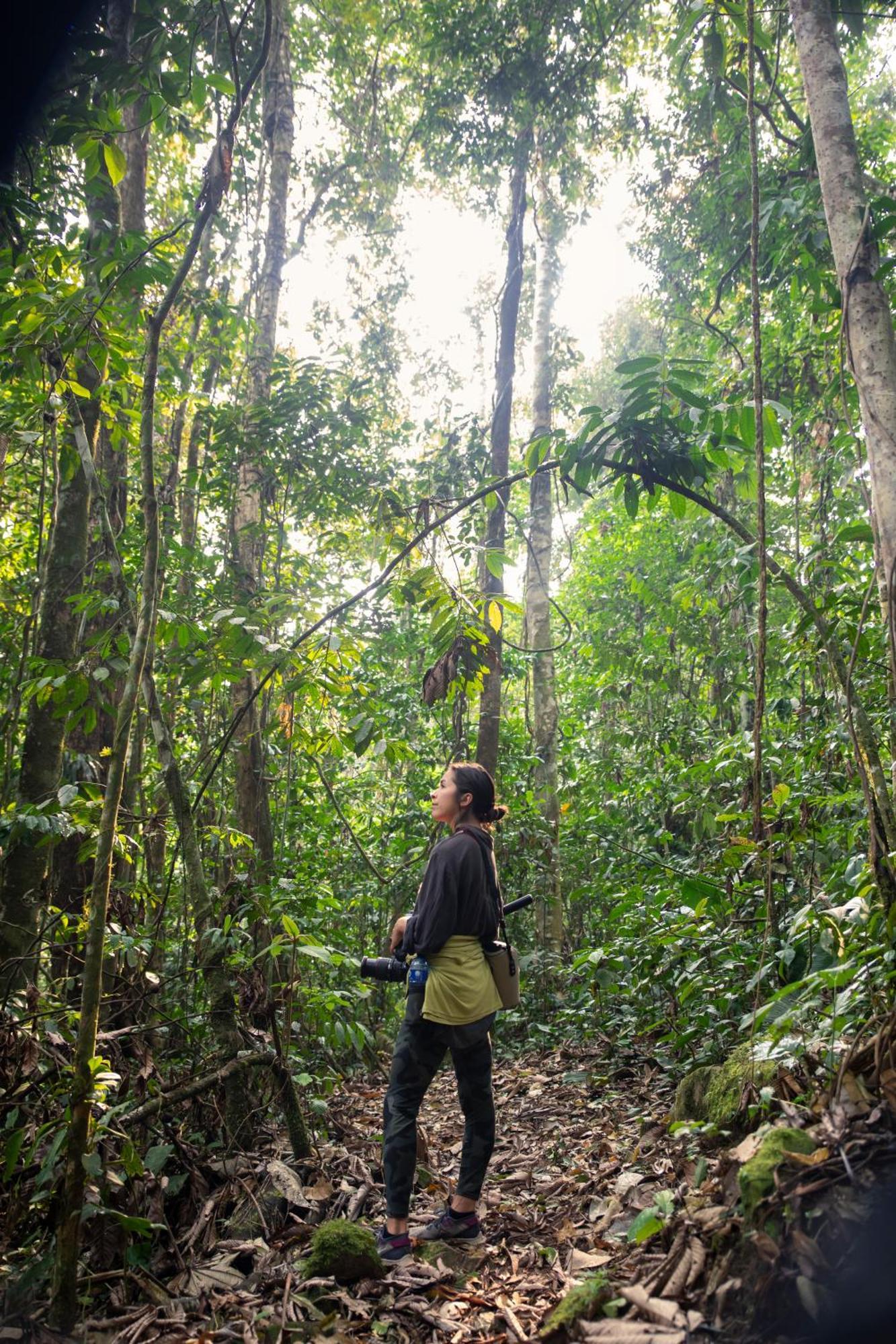 Bosque Guardian Lodge Tarapoto Eksteriør bilde